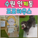 애견하우스 | 인계동 애견미용 포포하우스 후기