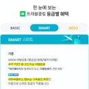 메트로렌트카 주식회사 | [일본 여행] 3박 4일 오사카 일정짜기(숙소, 교통편 예약, 환전)