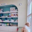 마레동물병원 이미지