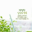 소은 - 진주시 진주대로 988 | 소은