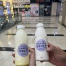 다이어트 건강요리(오전) | 결혼준비_스위치온 다이어트 4주차(-3.5kg)_실패후기