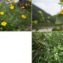 홍천리조텔 이미지