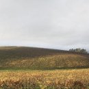 유포농장 이미지