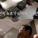 런하우스 이미지