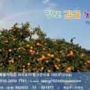 카페;수제청