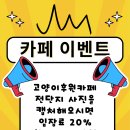 동물보육원 고양이 후원 카페 이미지