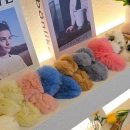 렉스소프트 이미지