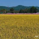 창원친환경영농조합법인 이미지