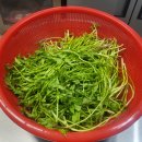 청도미나리식당 이미지