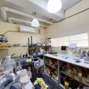 대구신서초등학교 이미지