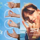 코다 - 서산시 | 코다