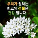 100세 장수를 위한 50가지 제언 이미지