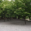 무릉도원면-44 이미지