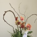 시트러스디자인 이미지