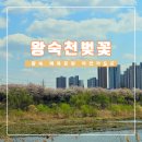 왕숙천 자전거도로15 이미지