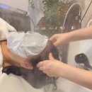 마포헤드스파 스트레스 해소 후기 두피 열감 개선 경험