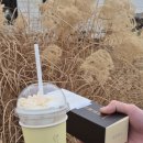 연리희재 | 파주 분위기 좋은 디저트 카페 [연리희재] 내돈내산 솔직후기