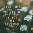 성한가든 이미지