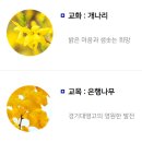 경기대명고등학교