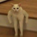 현무체육공원 이미지