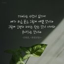 다산의 마지막 질문 - 조윤제 - 이미지