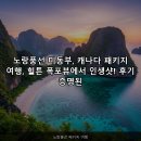 동부환경개발㈜ | 노랑풍선 미동부, 캐나다 패키지 여행, 힐튼 폭포뷰에서 인생샷! 후기 증명된