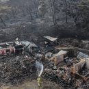 의성목장 이미지