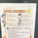 냥이툰 이미지