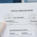 ASF 일제검사 '양성' 뒤집힌 '음성'... 농가 혼란 속 검사 신뢰도 도마 위 이미지