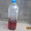 사래실천 이미지