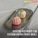 포멀독 반려견센터 | 서초동물사랑센터에서 반려견을 위한 특별한 하루!