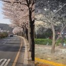 촌장과시인 이미지