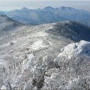 덕유산 눈꽃산행 (1614m)전북무주:(12.20일)/산림청.블랙야크100대명산 이미지