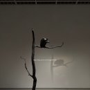 뾰로롱 | 아모레퍼시픽 미술관/ 엘름그린 &amp; 드라그셋 간단명료한 전시후기 뾰로롱