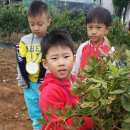 박달농원 이미지