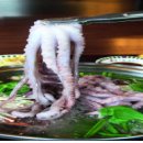 월하성어촌체험마을 이미지