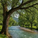 일기일회 이미지