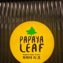 호텔파파야 이미지