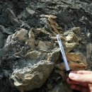 미포산단진입도로 이미지