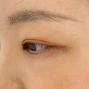 경기광주 속눈썹펌 추천 태전동 속눈썹일일구 후기