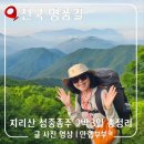 평전(여) | [지리산 성중종주 코스] 성삼재부터 중산리까지 34.7km 구간별 총정리 (노고단·삼도봉·벽소령·세석...
