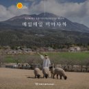 (주)성하투어