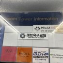 코코 반려견미용실 이미지