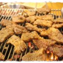 나노갈매기 이미지