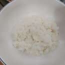 서른낙지