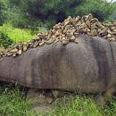 보탑사 주차장 이미지