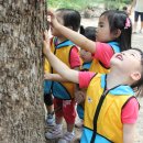 수원어린이집 이미지