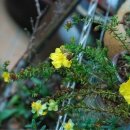 바다가 그리울때 이미지