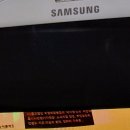 365미디어