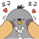 가온기획 행정사 이미지